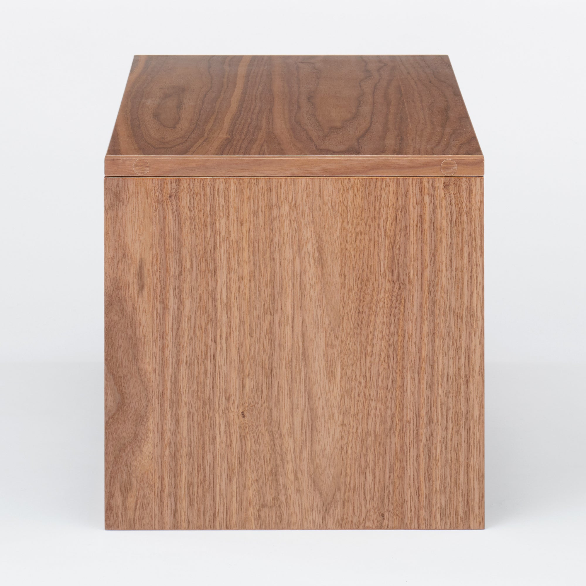 SUS Shelving Unit Box with Glass Door - Walnut - Image 5