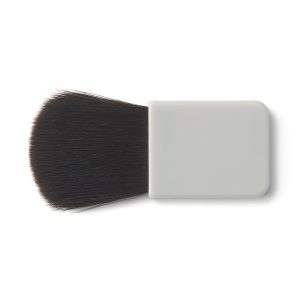 Cheek Brush for Case
