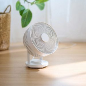 Oscillating Circulator Fan